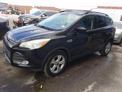 Salvage cars for sale at North Las Vegas, NV auction: 2016 Ford Escape SE