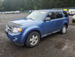 Ford Vehiculos salvage en venta: 2010 Ford Escape XLT