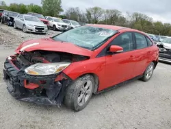 Salvage cars for sale at Des Moines, IA auction: 2014 Ford Focus SE
