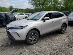 Salvage cars for sale at Candia, NH auction: 2021 Toyota Venza LE