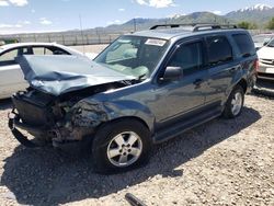 Salvage cars for sale at Magna, UT auction: 2012 Ford Escape XLT