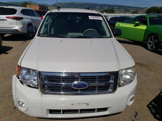 2011 Ford Escape XLT