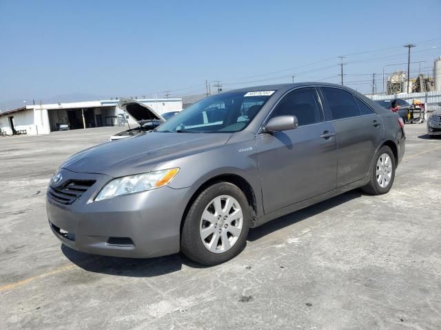 2008 Toyota Camry Hybrid