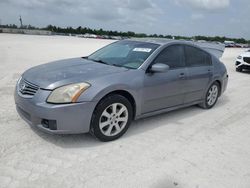 Salvage cars for sale at Arcadia, FL auction: 2007 Nissan Maxima SE