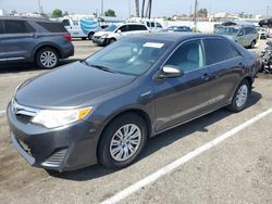 Toyota Camry Hybrid salvage cars for sale: 2013 Toyota Camry Hybrid