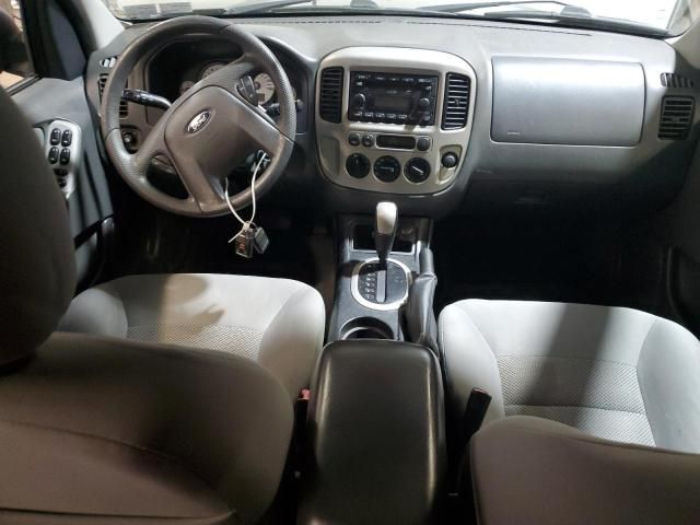 2006 Ford Escape XLT