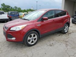 Hail Damaged Cars for sale at auction: 2015 Ford Escape SE