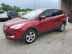 Carros dañados por granizo a la venta en subasta: 2015 Ford Escape SE