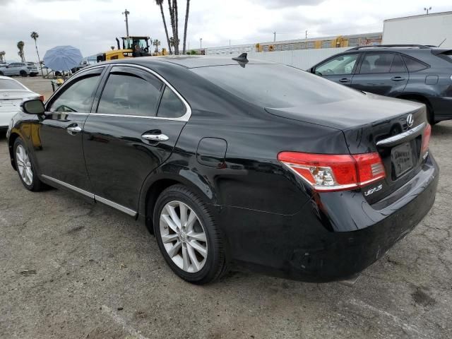 2010 Lexus ES 350