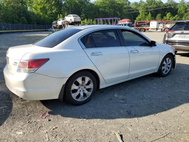 2010 Honda Accord EXL