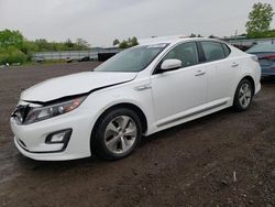 Salvage cars for sale at Columbia Station, OH auction: 2014 KIA Optima Hybrid