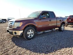 Salvage cars for sale at Phoenix, AZ auction: 2010 Ford F150 Super Cab