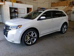 Salvage cars for sale at Ham Lake, MN auction: 2011 Ford Edge Sport