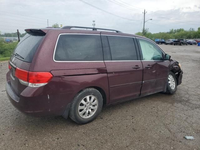 2010 Honda Odyssey EXL