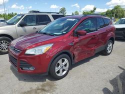 Ford Vehiculos salvage en venta: 2016 Ford Escape SE