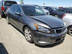 2008 Honda Accord EX