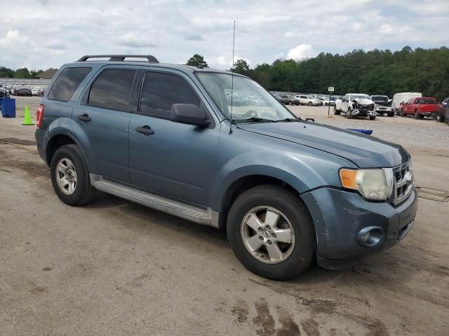 2010 Ford Escape XLT