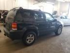 2007 Ford Escape XLT