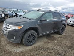 Vehiculos salvage en venta de Copart Helena, MT: 2013 Ford Edge Limited