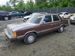 Plymouth Vehiculos salvage en venta: 1981 Plymouth Reliant Custom