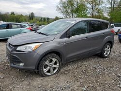 Salvage cars for sale at Candia, NH auction: 2014 Ford Escape SE