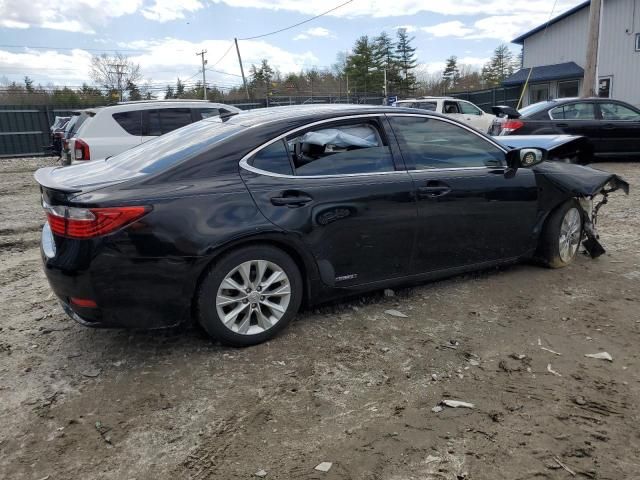 2013 Lexus ES 300H