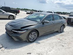 Salvage cars for sale from Copart Arcadia, FL: 2024 Hyundai Elantra SEL