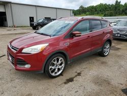 Salvage cars for sale at Grenada, MS auction: 2014 Ford Escape Titanium