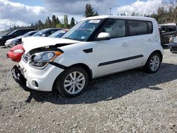 Salvage cars for sale at Graham, WA auction: 2012 KIA Soul +