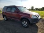 2002 Honda CR-V EX