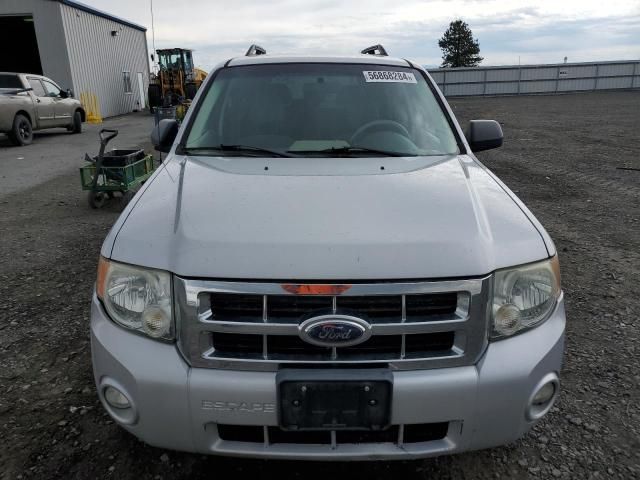 2008 Ford Escape XLT