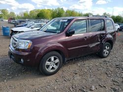 Salvage cars for sale at Chalfont, PA auction: 2010 Honda Pilot EXL