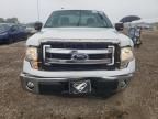 2013 Ford F150