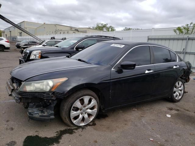 2009 Honda Accord EXL