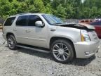 2013 Cadillac Escalade Premium