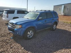 Ford Escape xlt salvage cars for sale: 2012 Ford Escape XLT