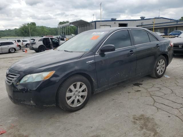 2009 Toyota Camry Hybrid