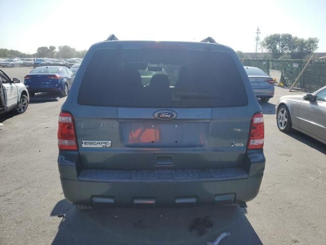 2010 Ford Escape XLT