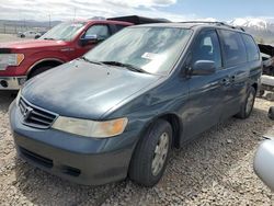 Salvage cars for sale at Magna, UT auction: 2003 Honda Odyssey EXL