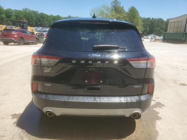 2020 Ford Escape SE Sport