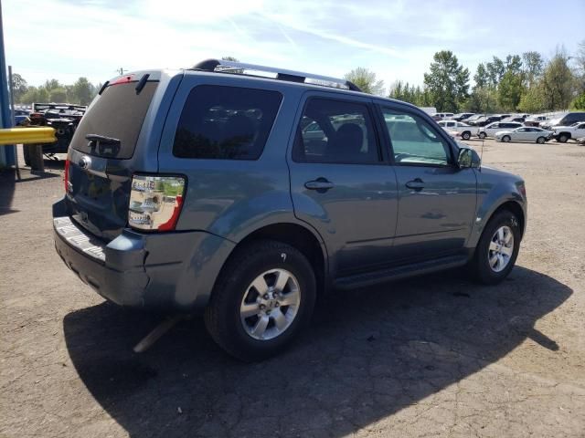 2010 Ford Escape Limited