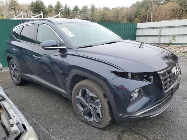 2024 Hyundai Tucson Limited