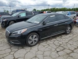Salvage cars for sale at Indianapolis, IN auction: 2016 Hyundai Sonata Hybrid