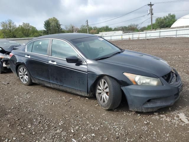 2011 Honda Accord EXL