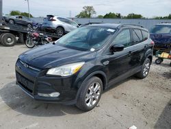 SUV salvage a la venta en subasta: 2014 Ford Escape SE
