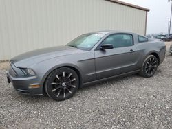 Salvage Cars with No Bids Yet For Sale at auction: 2013 Ford Mustang