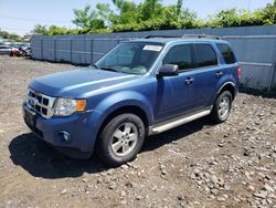 Ford Escape xlt salvage cars for sale: 2010 Ford Escape XLT