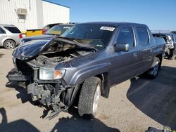 Salvage cars for sale at Tucson, AZ auction: 2013 Honda Ridgeline RTL