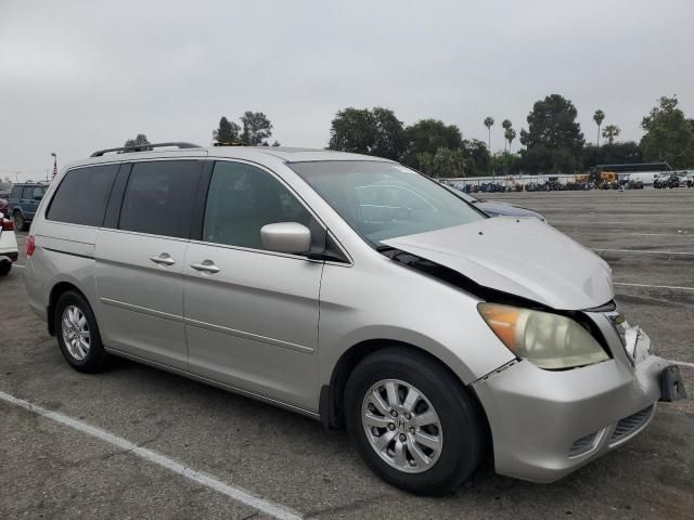 2008 Honda Odyssey EXL