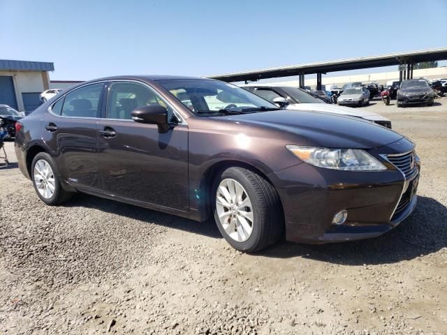 2013 Lexus ES 300H